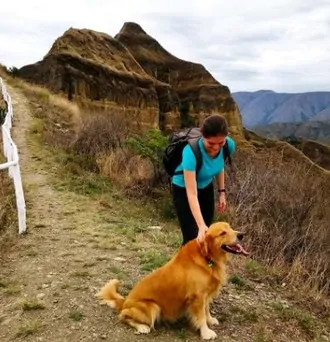 Radical FIRE Financial Independence Retire Early - Ecuador Photo with Dog Labrador