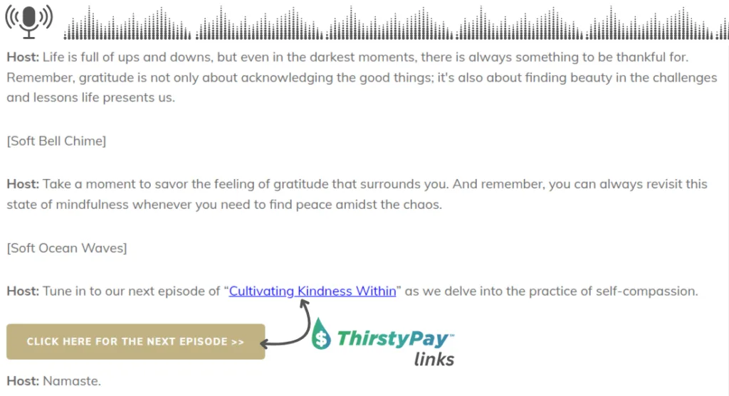 Podcast-ThirstyPay-link-example | ThirstyAffiliates Include ThirstyPay™ links in your podcast transcript for easy purchasing