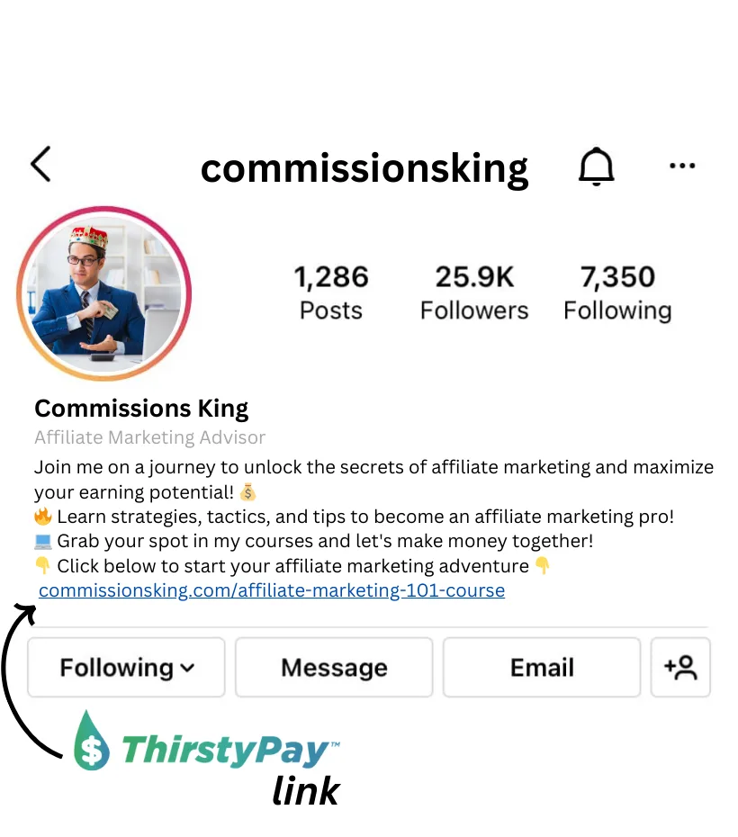 Promote-your-affiliate-marketing-course- | ThirstyAffiliates Promote ThirstyPay™ links in your Instagram Link in Bio