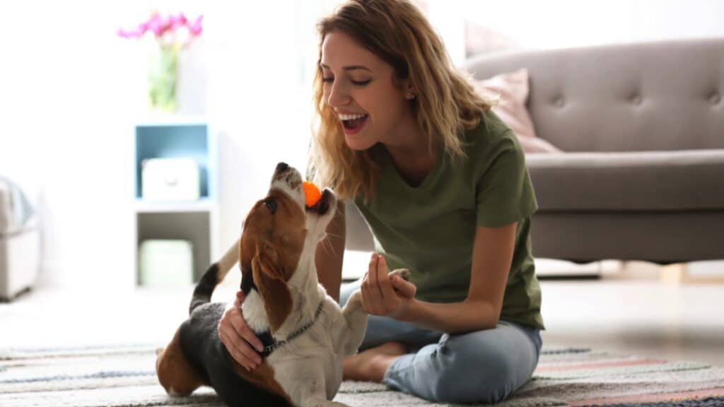 Woman playing ball with her dog