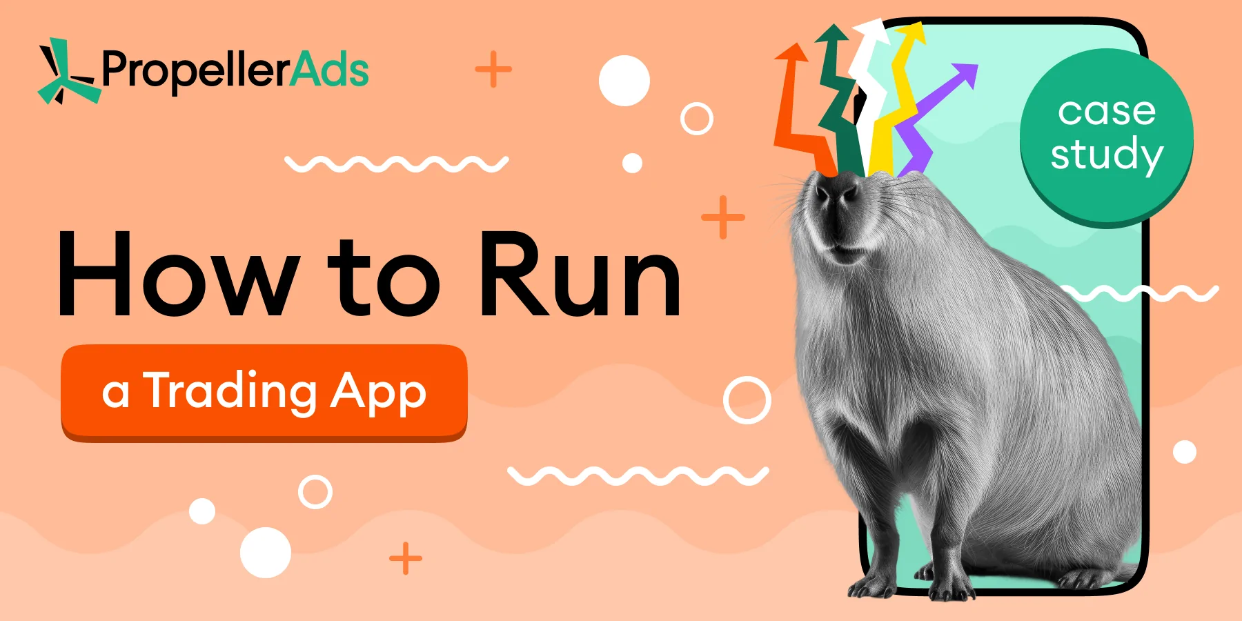 how to run a trading app