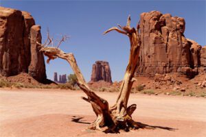 Affiliate Marketing Navigation Is in Our...