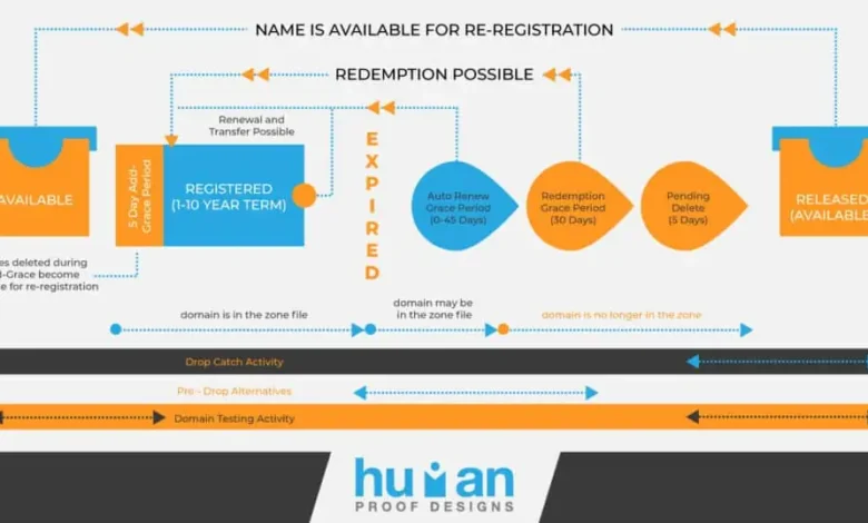 Fast Website Growth With Aged Domains For 2022 » Human Proof Designs Fast Website Growth With Aged Domains For 2022 » Human Proof Designs