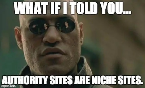 Niche Sites vs Authority Sites: What’s The Difference? Niche Sites vs Authority Sites: What’s The Difference?
