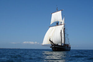 Why Affiliate Agency is an Integral Part of Your Marketing Team