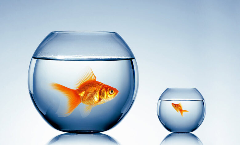 Can Small Businesses Keep Afloat in the New Affiliate Marketing?